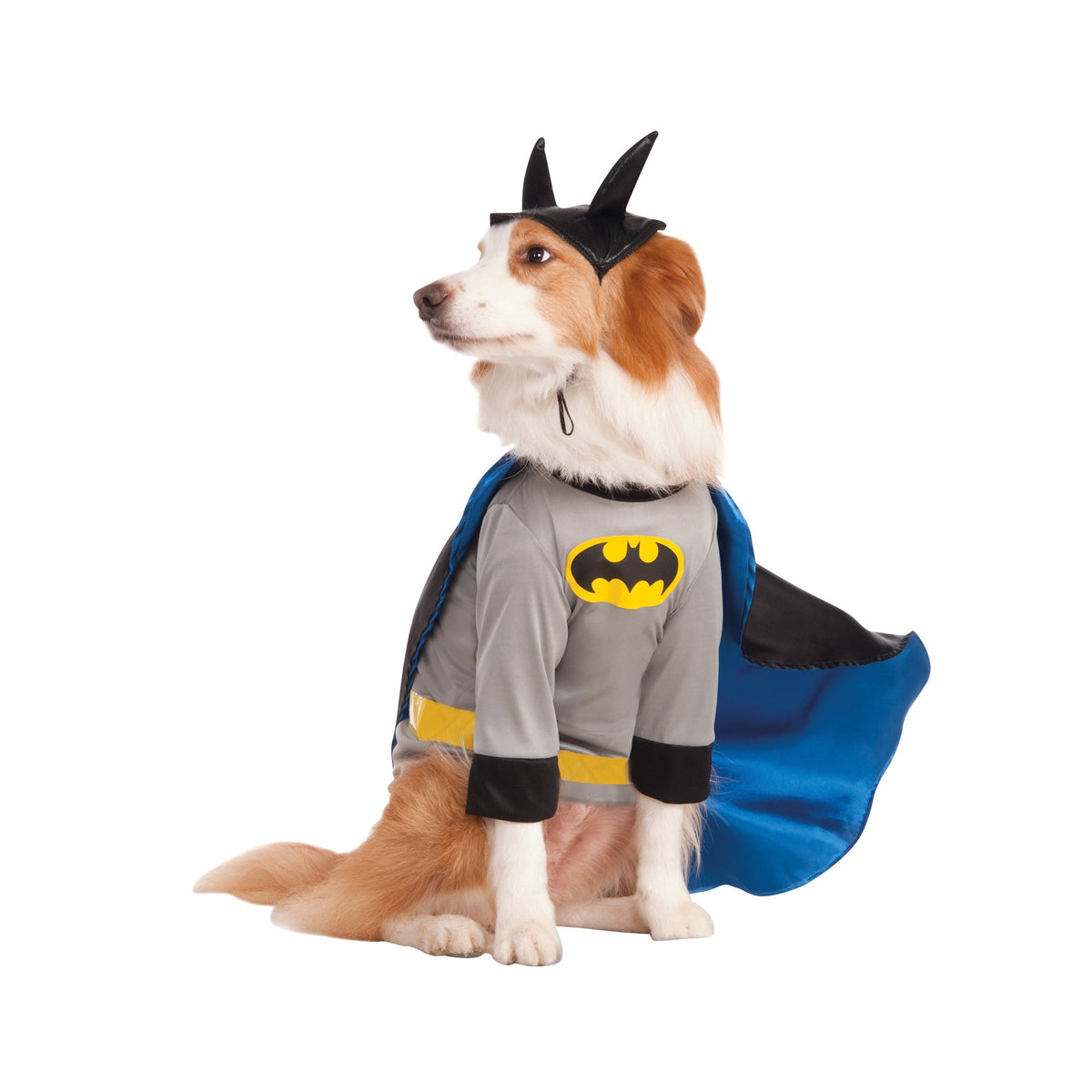 Batman Pet Costume