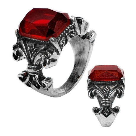 Gothic Vampire Ring with Red Gem — A heavy silver-tone ring with an ornate gothic setting holding a deep red faceted stone.