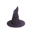 Kids' Harry Potter Sorting Hat