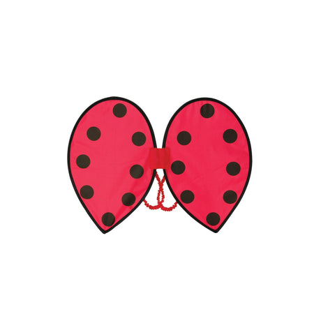 Kids' Ladybird Wings