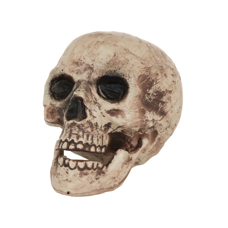 Large Skeleton Skull Decoration