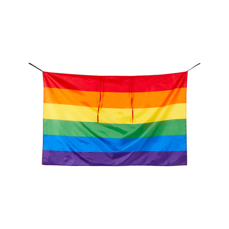 Rainbow Pride Cape, Adult – alternative view