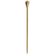 The Joker Cane, Batman: Arkham Asylum